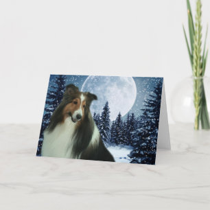 Winter Sheltie Karte
