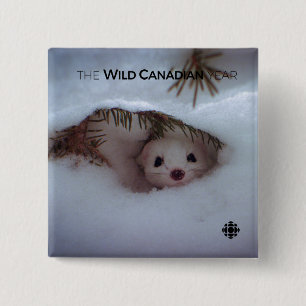 Winter - Short-Tailed Weasel Button