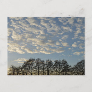 Winter Sky Postkarte