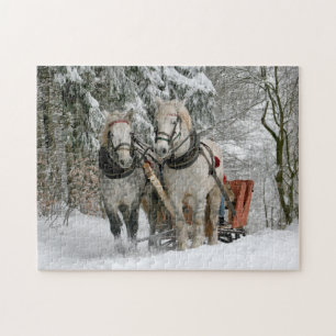 Winter Sleigh Reiten Weihnachtsfeiertag