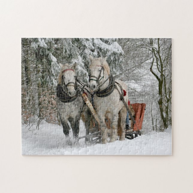 Winter Sleigh Reiten Weihnachtsfeiertag (Horizontal)