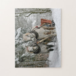 Winter Sleigh Reiten Weihnachtsfeiertag