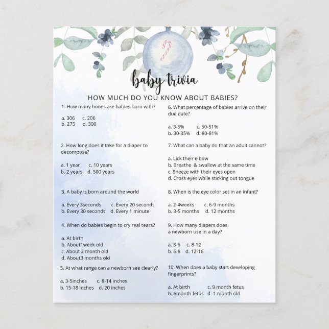 Winter Snow Baby Trivia | Baby Showspiel (Vorderseite)