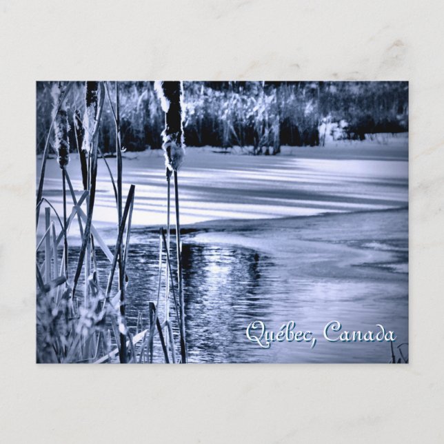 Winter Snow Blue Ice Water Ripples Catti Postkarte (Vorderseite)