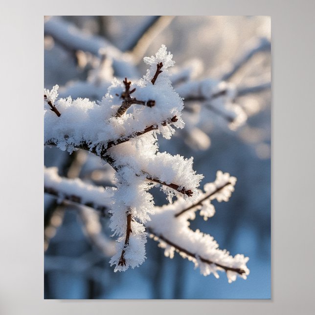 Winter Snow Frosty Tree Branch Sunlight Poster (Vorne)
