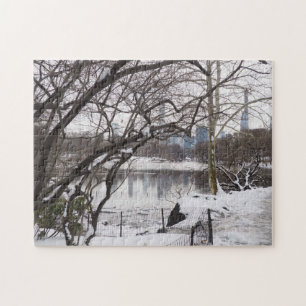 Winter Snow in Central Park New York City NYC