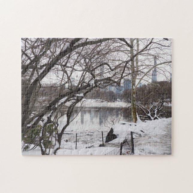 Winter Snow in Central Park New York City NYC (Horizontal)