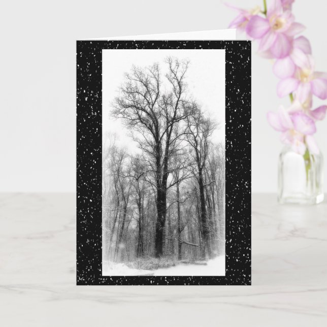 Winter Snow & Poplar Tree Blank Greeting Card Karte (Orchidee)