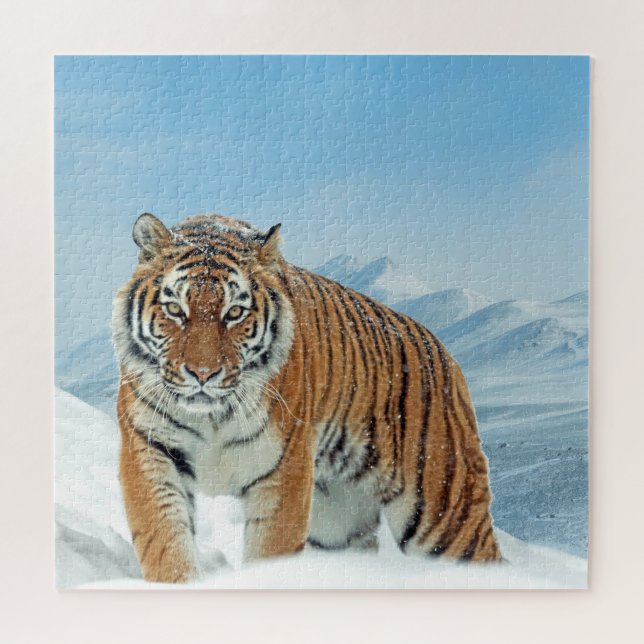 Winter Snow Tiger Mountains Tierisches Foto Trendy (Horizontal)