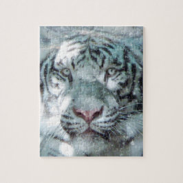 Winter Snow White Tiger