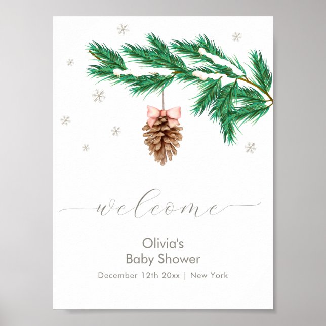 Winter Snowflake Pine cone Baby Shower Welcome Poster (Vorne)