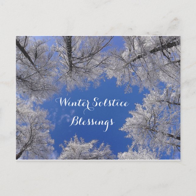 Winter Solstice Segnungen Winterbäume und Himmel Postkarte (Vorderseite)
