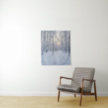 Winter-Sonnenlicht im stillen Birkenwald