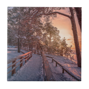 Winter Sonnenuntergang im Kiefernwald in der Nähe Fliese
