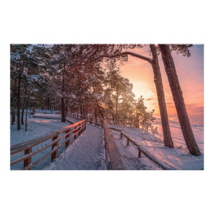 Winter Sonnenuntergang im Kiefernwald in der Nähe  Fotodruck