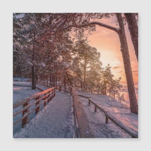 Winter Sonnenuntergang im Kiefernwald in der Nähe Magnetkarte