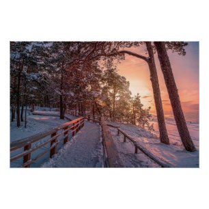 Winter Sonnenuntergang im Kiefernwald in der Nähe  Poster