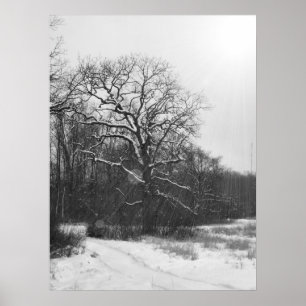 Winter-Sonnenwende-Plakat Poster