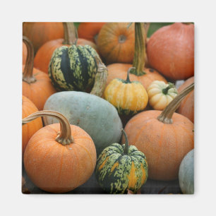 Winter Squash Magnet
