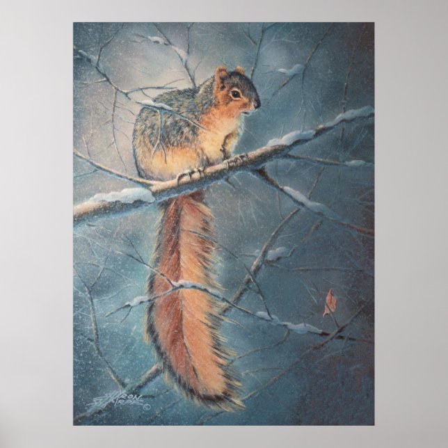 WINTER SQUIRREL VON SHARON SHARPE POSTER (Vorne)