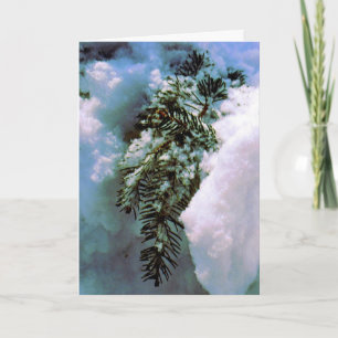 "Winter Still life" - Weihnachten