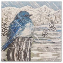 Winter Storm Bluebird