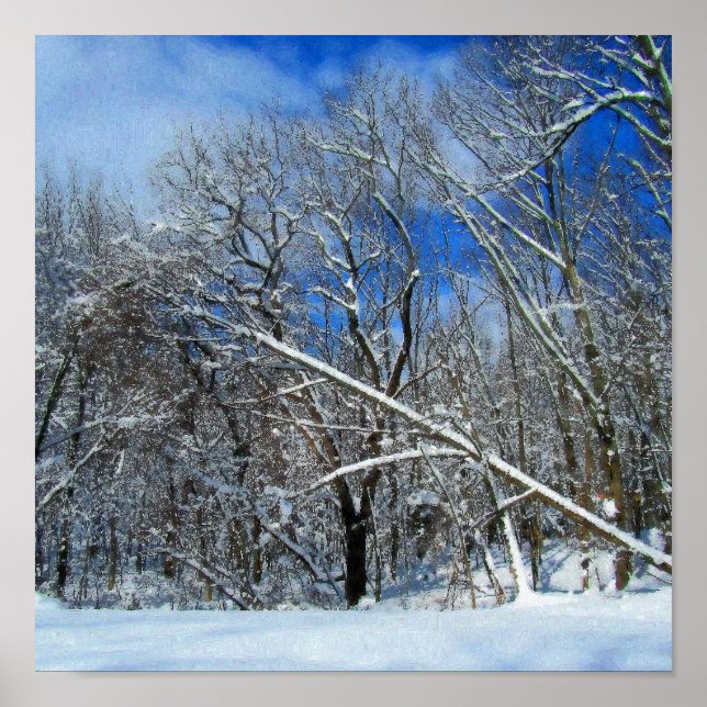 Winter Storm Oil Poster (Vorne)