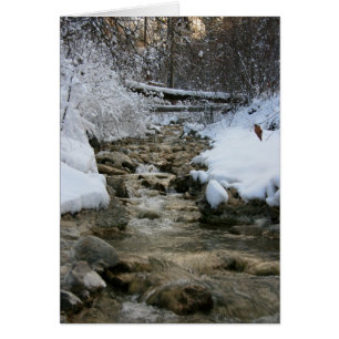 Winter Stream