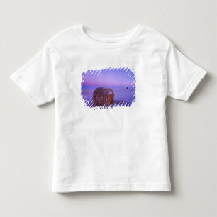 Winter-Strohballen in der Nähe von Cartwright Nort Kleinkind T-shirt
