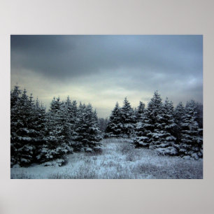 Winter-Sturm-Plakat Poster