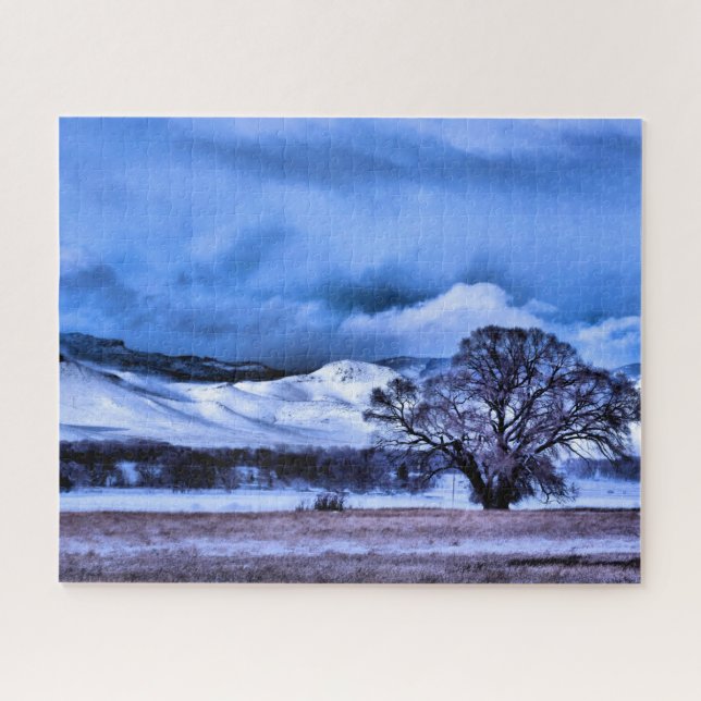 Winter Sturmbrauen in den Bergen - 16x20 Zoll (Horizontal)