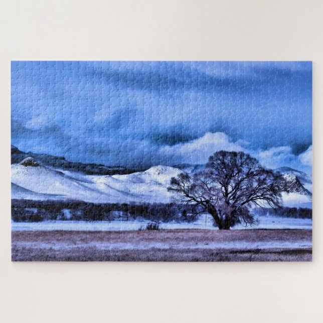 Winter Sturmbrauen in den Bergen - 20x30 Zoll (Horizontal)