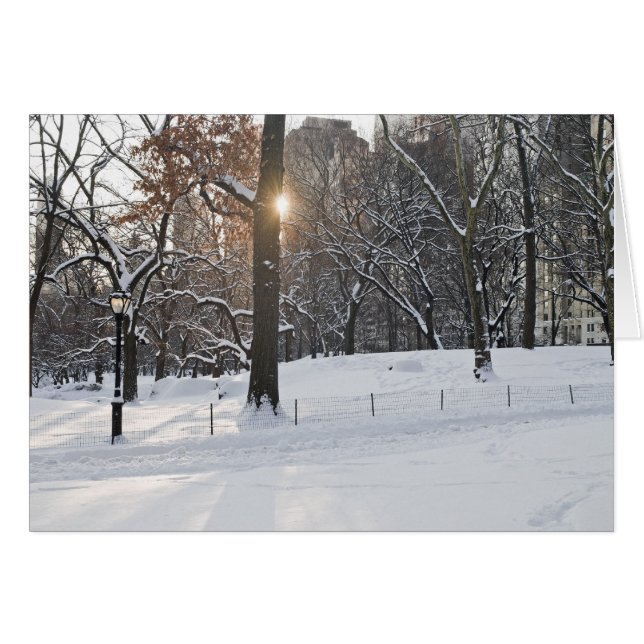 Winter Sunlight Central Park (Vorderseite (Horizontal))