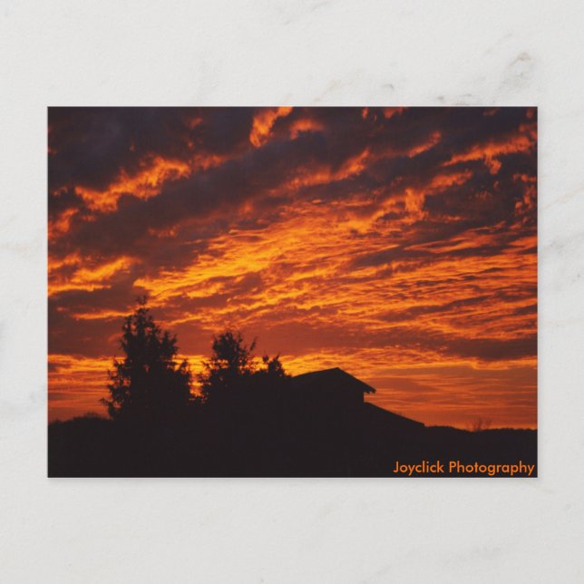 Winter Sunrise Postcard Postkarte (Vorderseite)