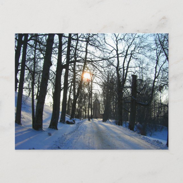 Winter Sunset - Postkarte (Vorderseite)