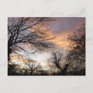Winter Sunset Postkarte