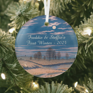 Winter Szene in Mondlicht von Farrer Ornament Aus Glas