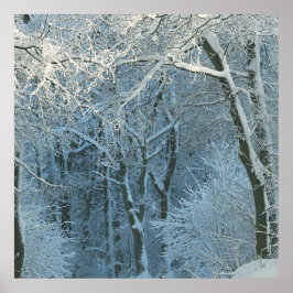 Winter Szene Winter Wonderland Snowy Hintergrund Poster