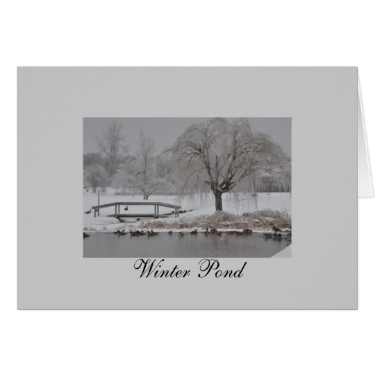 Winter-Teich Karte