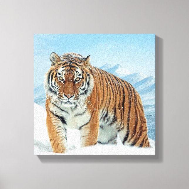 Winter Tiger Snow Mountains Natur Foto Leinwand (Vorderseite)
