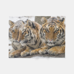 Winter-Tigerherd im Schnee Fleecedecke