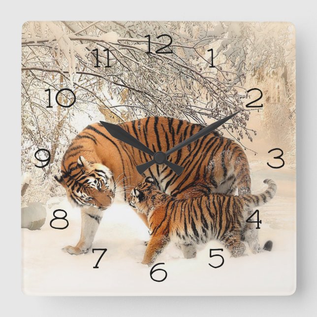 Winter Tigers Quadratische Wanduhr (Vorderseite)