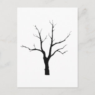 Winter Tree Black and White Set Postkarte
