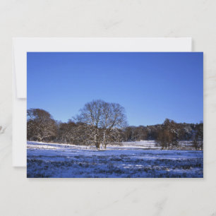 Winter tree Cheshire Urlaubskarte Feiertagskarte