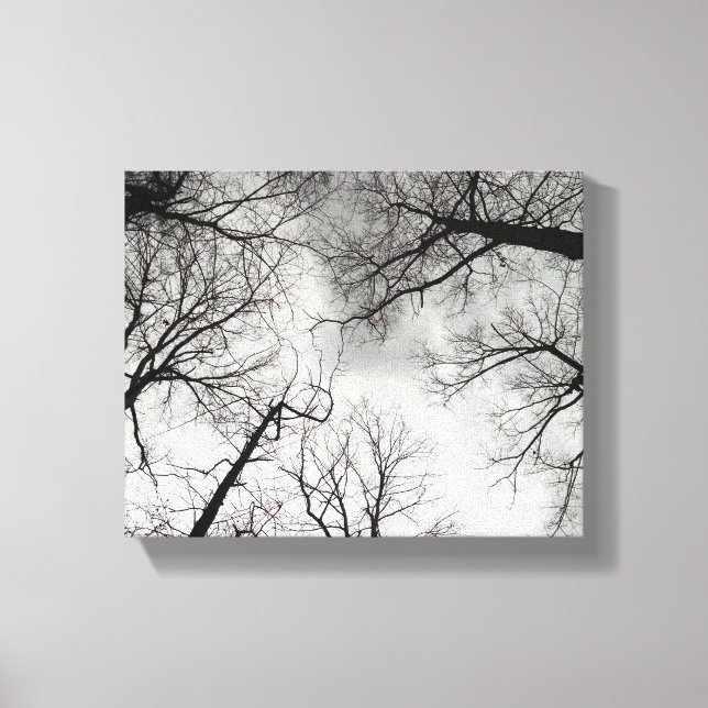 Winter Trees Cloudy Sky Leinwanddruck (Vorderseite)
