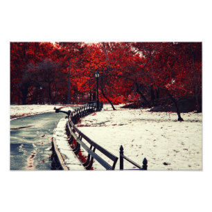 Winter trifft sich Fall in Central Park, NYC Fotodruck