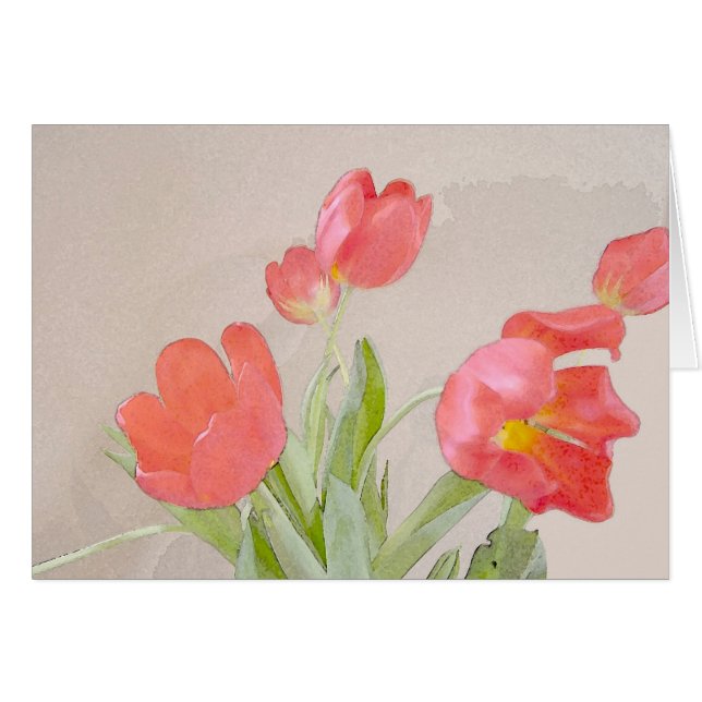 Winter Tulip (Vorderseite (Horizontal))