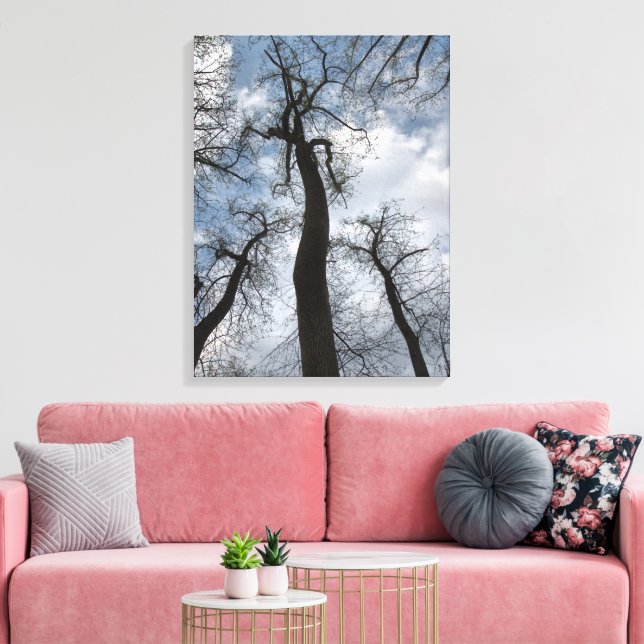 Winter Tulip Poplar Trees Cloudy Blue Sky Leinwanddruck (Insitu (Wohnzimmer))