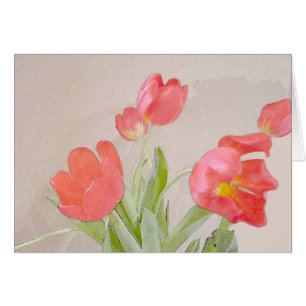 Winter-Tulpe