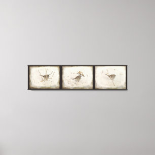 Winter und Sparrow Leinwanddruck